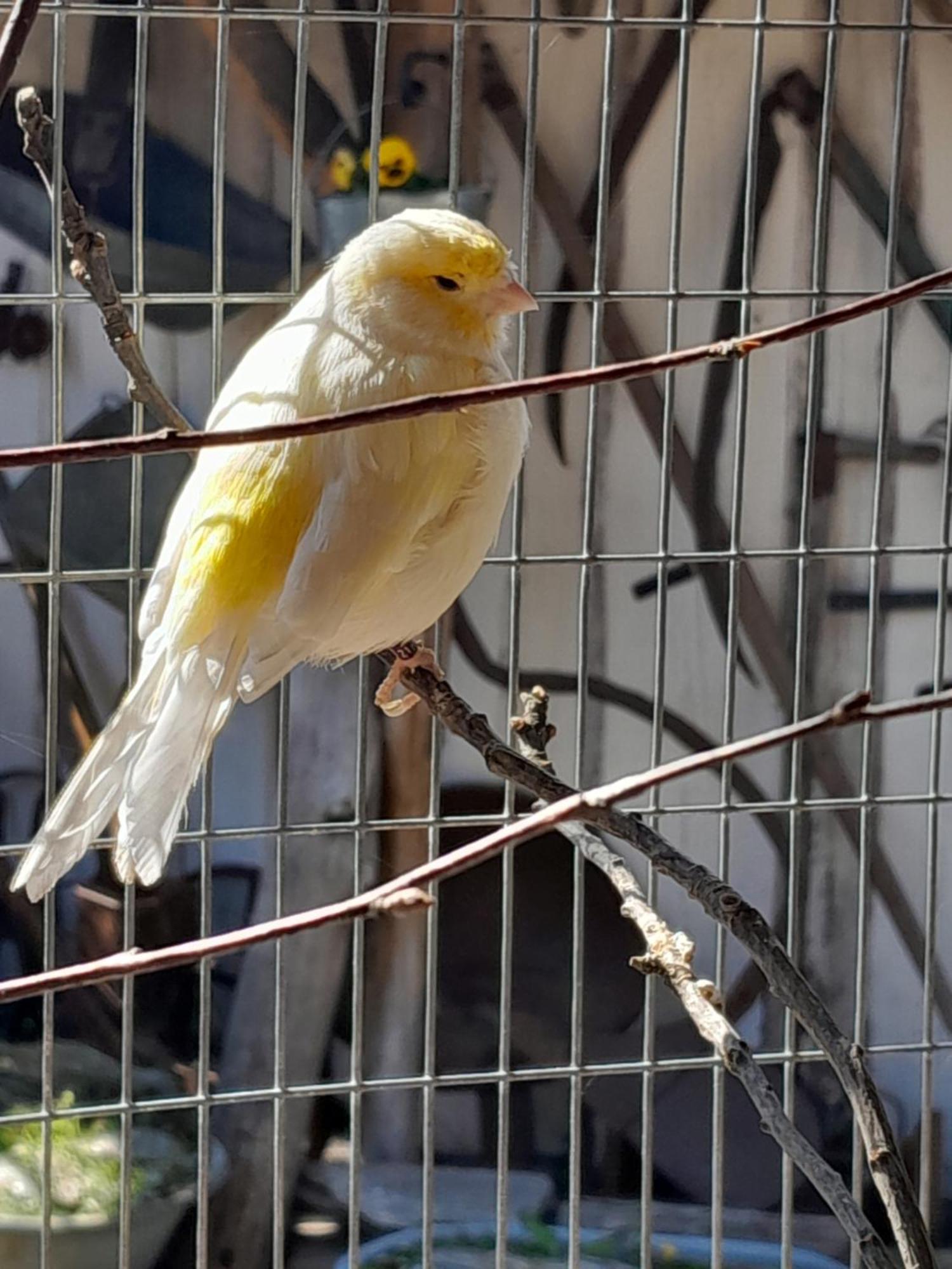 Pokoje Goscinne Skalnik - Agroturystyka Kostrzyn nad Odra Exterior foto